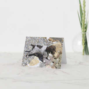 German Shorthaired Pointer Puppy Card