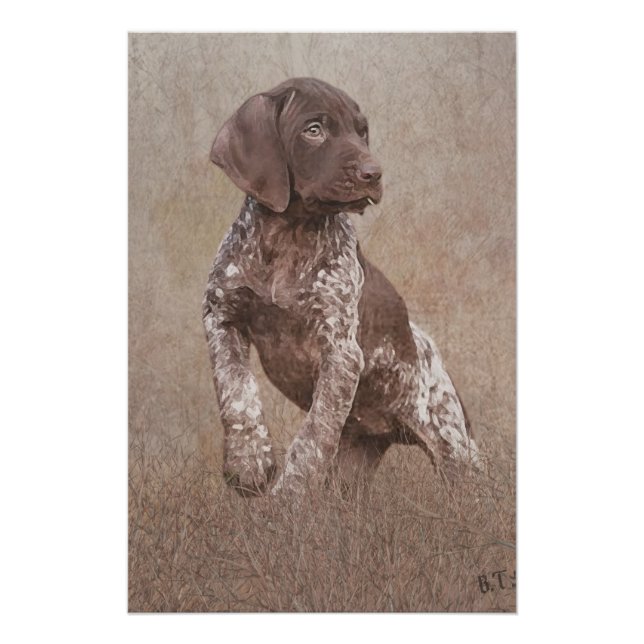 German shorthaired pointer puppy poster (Front)