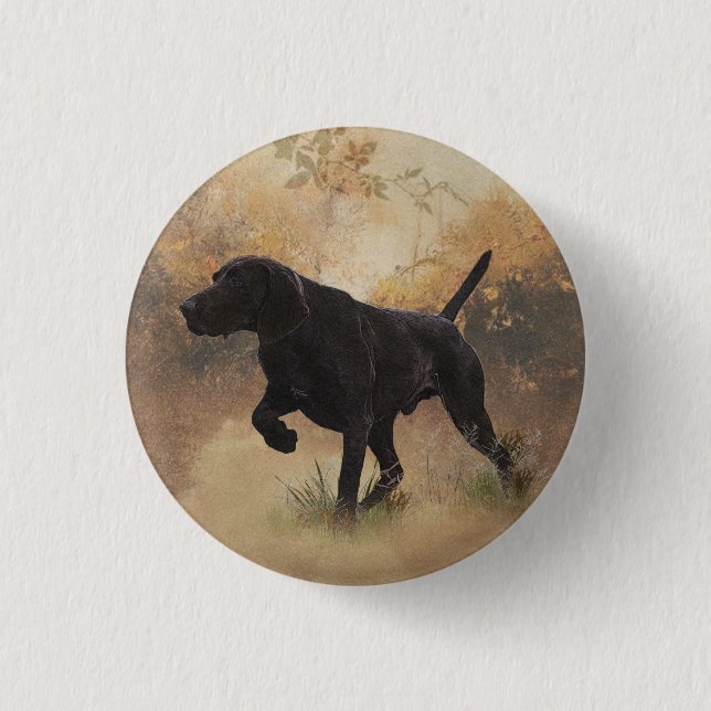 German Shorthaired Pointer ready to hunt Gift Box  Button (Front)