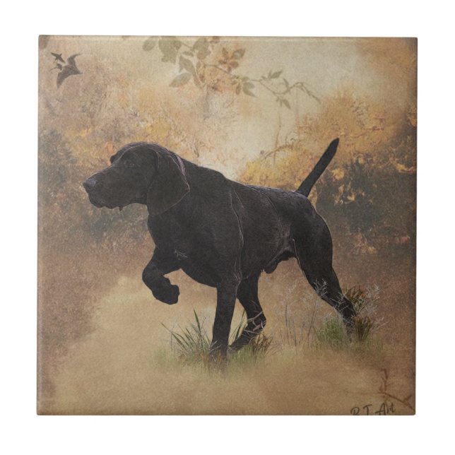 German Shorthaired Pointer ready to hunt Gift Box Ceramic Tile (Front)