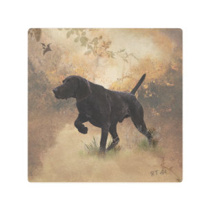 German Shorthaired Pointer ready to hunt Gift Box Metal Print