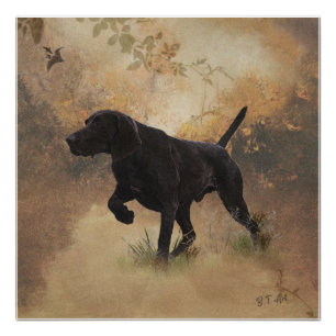 German Shorthaired Pointer ready to hunt Gift Box Poster