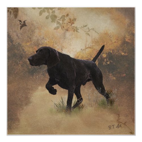 German Shorthaired Pointer ready to hunt Gift Box  Poster