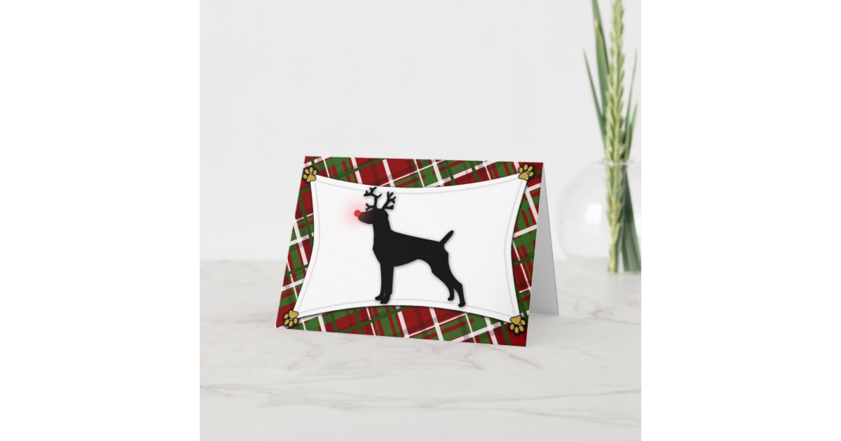 German Shorthaired Pointer Reindeer Christmas Card Zazzle 7048