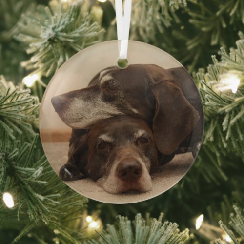 German Shorthaired Pointer Sisters  Glass Ornament