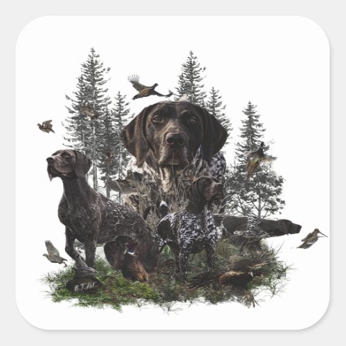 German Shorthaired Pointer   Square Sticker