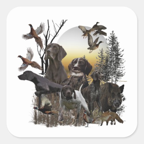 German Shorthaired Pointer   Square Sticker