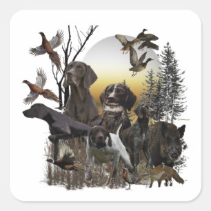 German Shorthaired Pointer Square Sticker