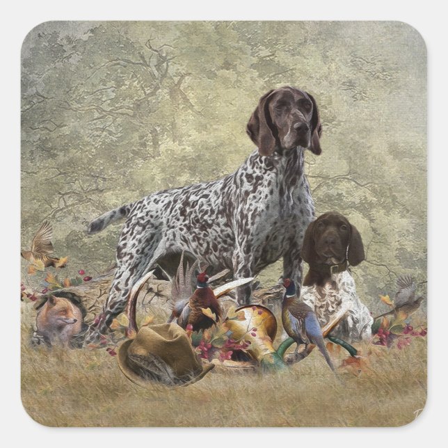 German Shorthaired Pointer   Square Sticker (Front)
