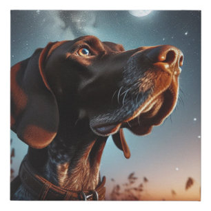 German Shorthaired Pointer Starring at Moon Faux Canvas Print
