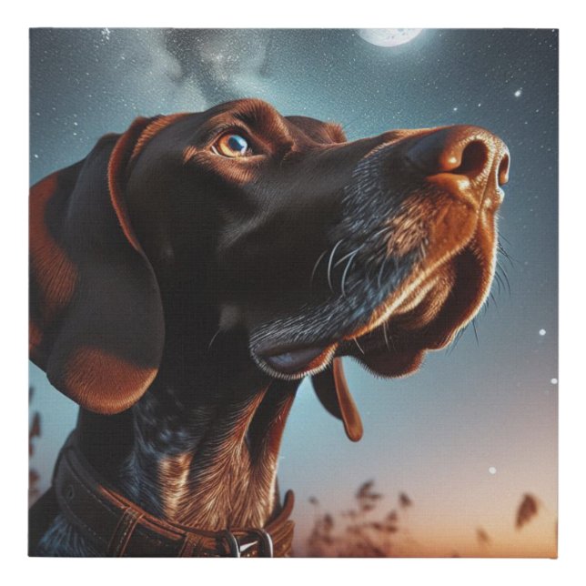 German Shorthaired Pointer Starring at Moon Faux Canvas Print (Front)
