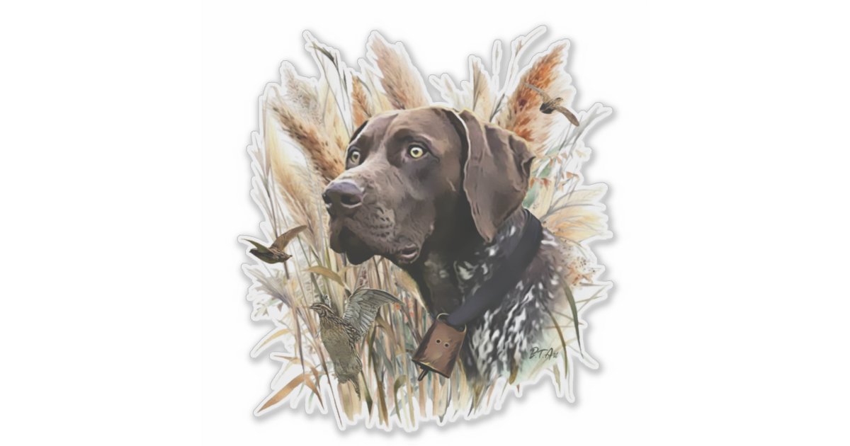 German Shorthaired Pointer Sticker | Zazzle