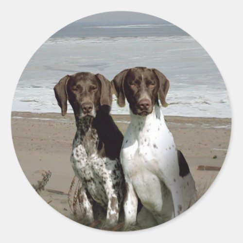 German Shorthaired Pointer Sticker