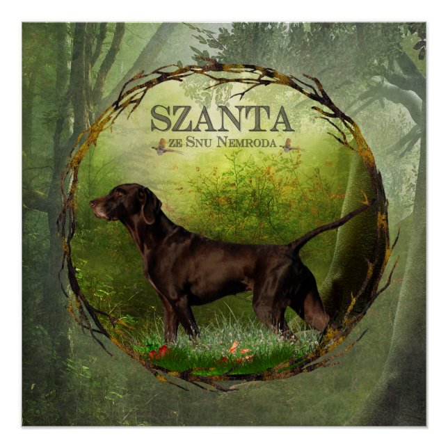 German Shorthaired Pointer ,,SZANTA from Nemrod's  Poster (Front)