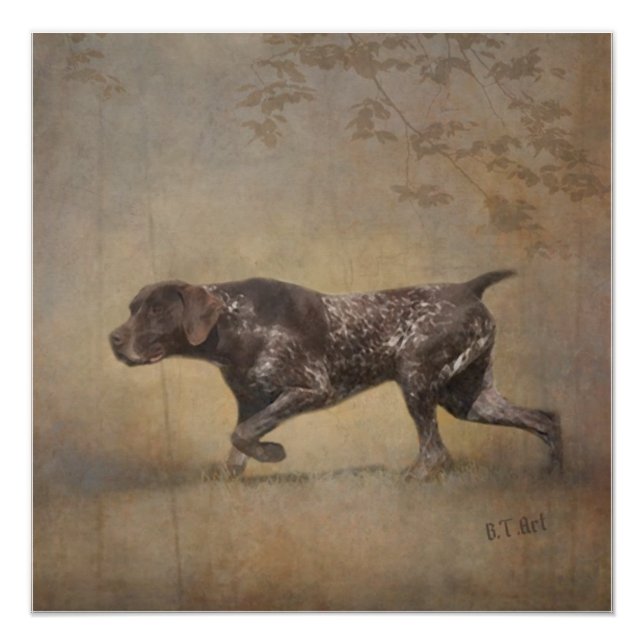 German Shorthaired Pointer Tapestry Poster (Front)