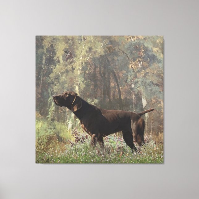 German Shorthaired Pointer Tapestry Poster Acrylic Canvas Print (Front)