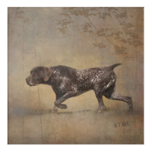 German Shorthaired Pointer Tapestry Poster Acrylic Print