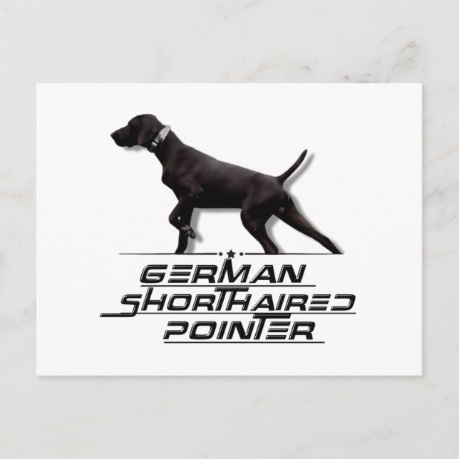German Shorthaired Pointer Tapestry Square Sticker Postcard (Front)