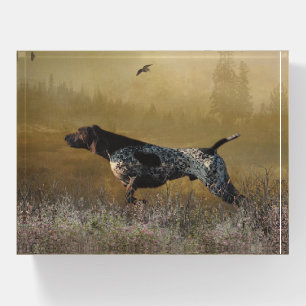 German Shorthaired Pointer Wooden Box Sign Paperw Paperweight