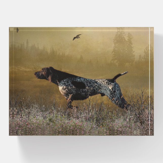 German Shorthaired Pointer  Wooden Box Sign Paperw Paperweight (Front)