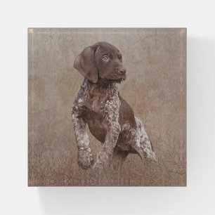 German Shorthaired Pointer Wooden Box Sign Paperw Paperweight
