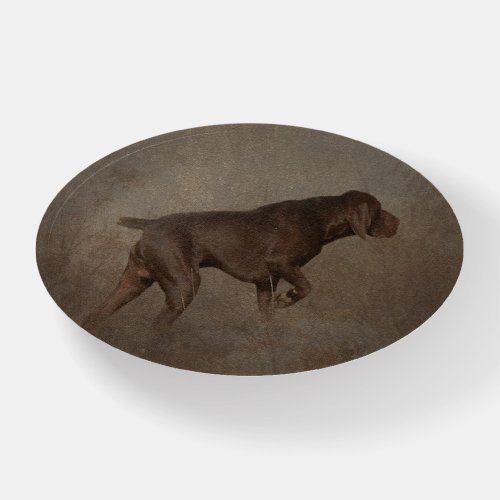 German Shorthaired Pointer  Wooden Box Sign Paperw Paperweight