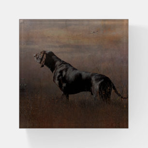 German Shorthaired Pointer Wooden Box Sign Paperw Paperweight