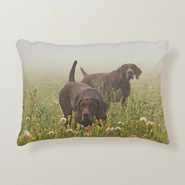 German Shorthaired Pointers  Accent Pillow (Front)