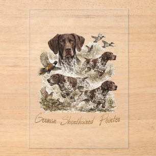 German Shorthaired Pointers  Acrylic Invitations