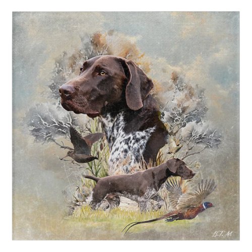 German Shorthaired Pointers  Acrylic Print