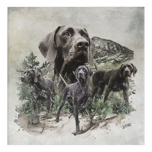 German Shorthaired Pointers Acrylic Print