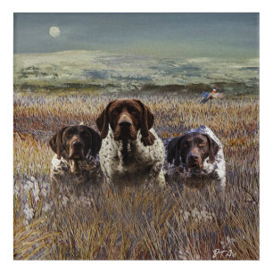 German Shorthaired Pointers Acrylic Print