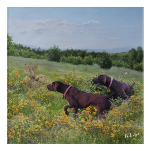 German Shorthaired Pointers    Acrylic Print