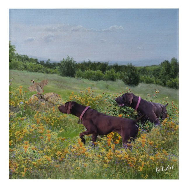 German Shorthaired Pointers    Acrylic Print (Front)