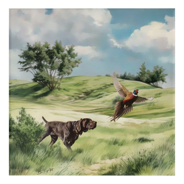 German Shorthaired Pointers  Acrylic Print (Front)