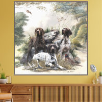 German Shorthaired Pointers