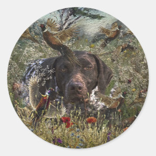 German Shorthaired Pointers Classic Round Sticker