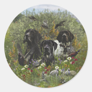 German Shorthaired Pointers   Classic Round Sticker