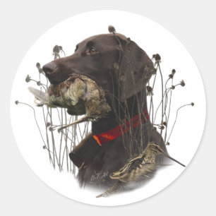 German Shorthaired Pointers Classic Round Sticker