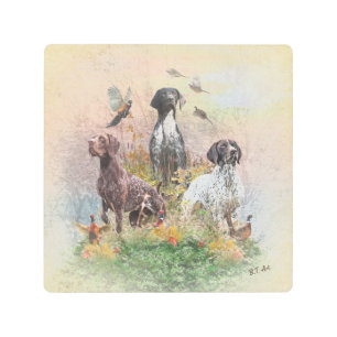 German Shorthaired Pointers (GSP), a hunting pheas Metal Print