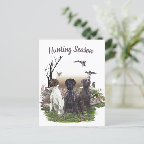German Shorthaired Pointers GSP a hunting pheas Postcard