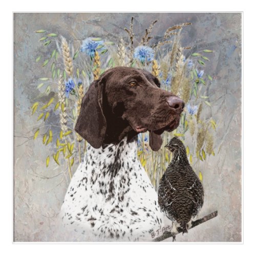 German Shorthaired Pointers GSP  Acrylic Print