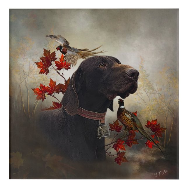 German Shorthaired Pointers (GSP)       Acrylic Print (Front)