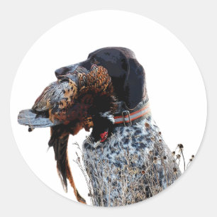 German Shorthaired Pointers (GSP) Classic Round Sticker