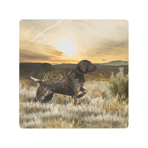 German Shorthaired Pointers (GSP) Metal Print