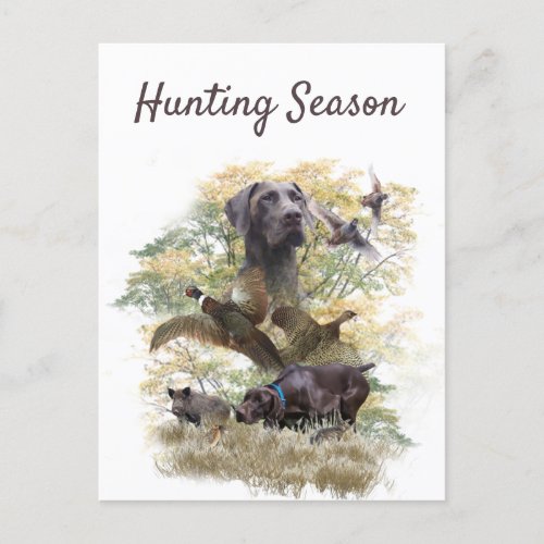 German Shorthaired Pointers GSP       Postcard