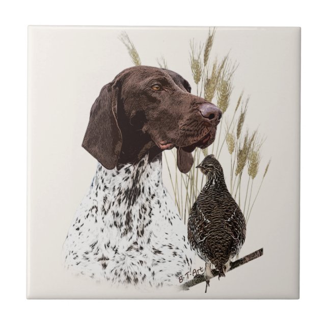 German Shorthaired Pointers (GSP) Postcard Coffee  Ceramic Tile (Front)