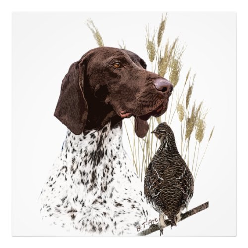 German Shorthaired Pointers GSP Postcard Coffee  Photo Print