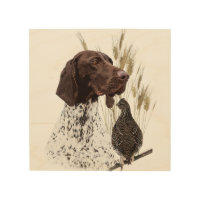 German Shorthaired Pointers (GSP) Postcard Coffee 