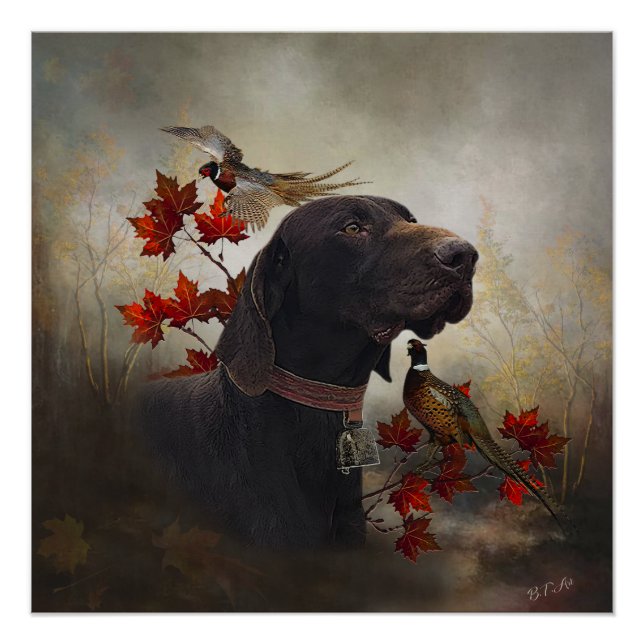 German Shorthaired Pointers (GSP)        Poster (Front)